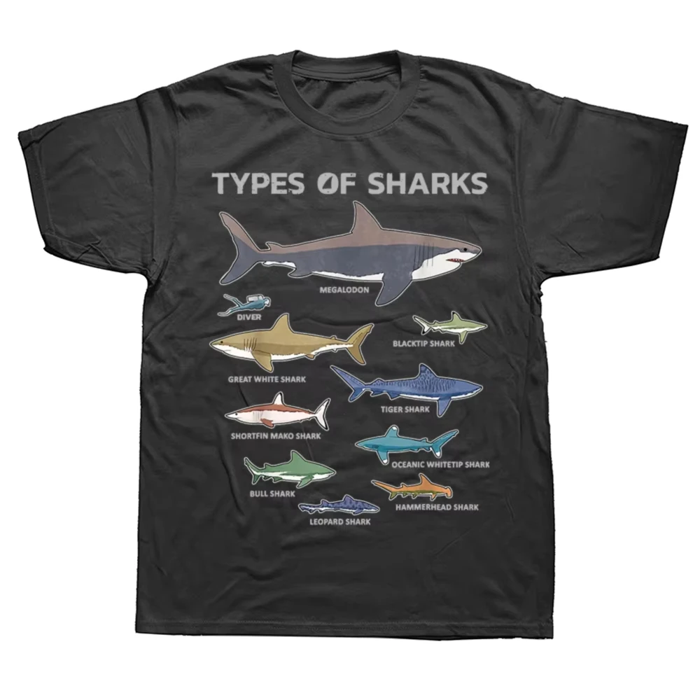 9 Types Of Sharks E…
