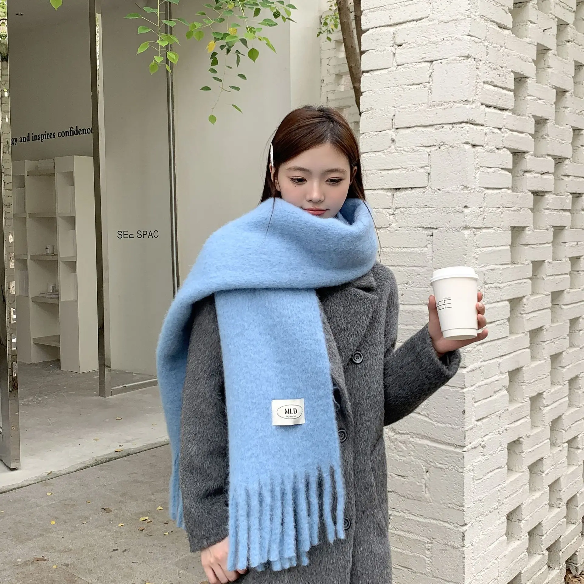 2024 Winter New Solid Color Women's Tassel Scarf Dopamine Japanese Couple Scarf Thickened Warm Outer Wear Cold resistant Shawl