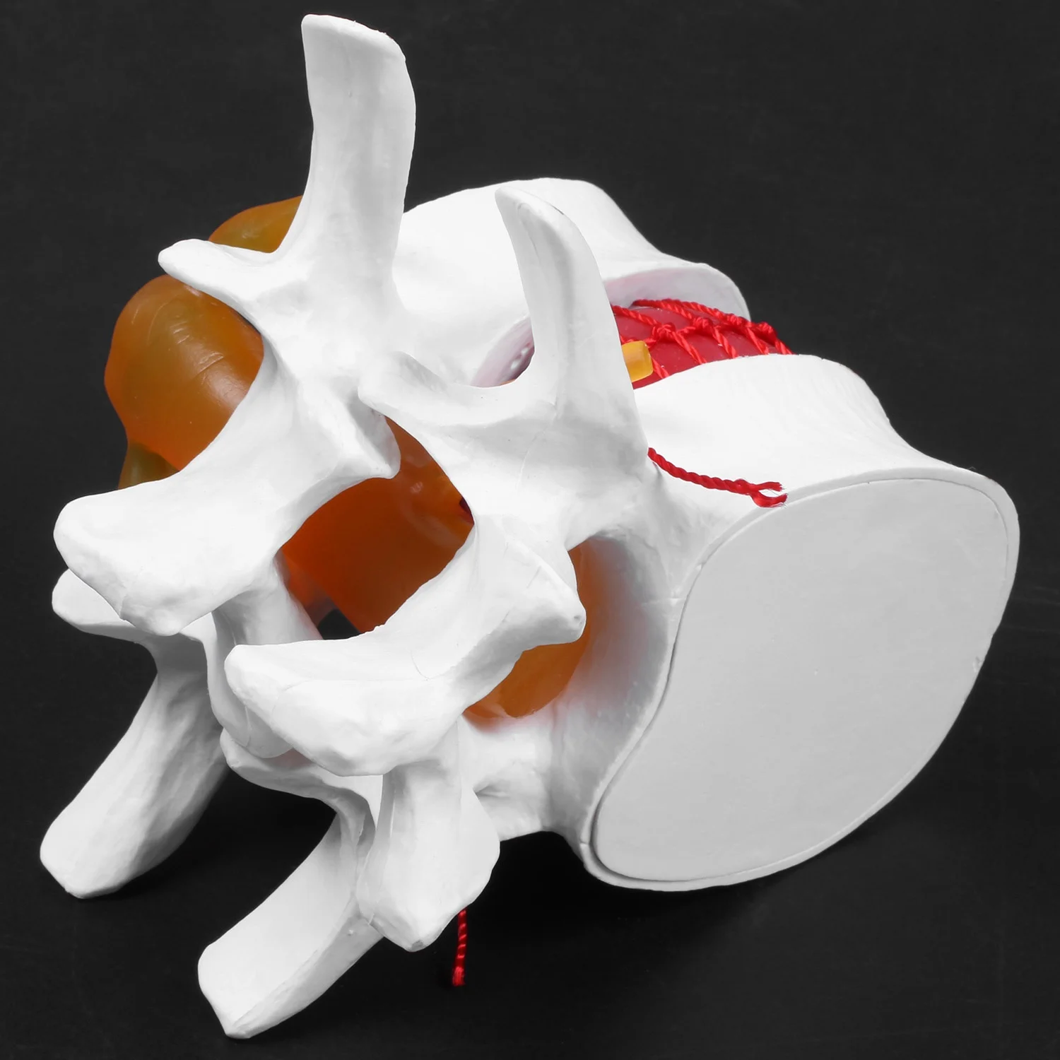 Esqueleto de anatomía humana, columna vertebral, hernia de disco Lumbar, modelo de enseñanza, cráneo cerebral, suministros escolares traumáticos, instrumento