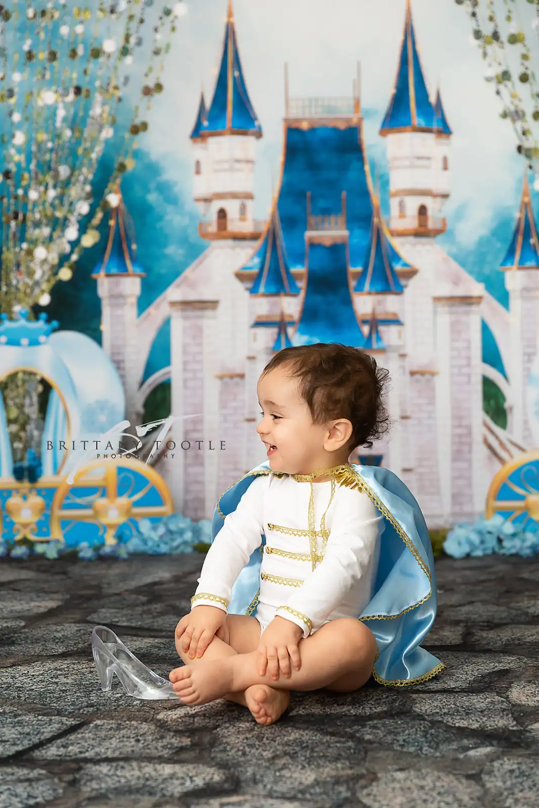 Castle Princess Backdrops Kids Baby Photography Props Child Photocall Props Birthday Cake Smash Castle Carriage Background