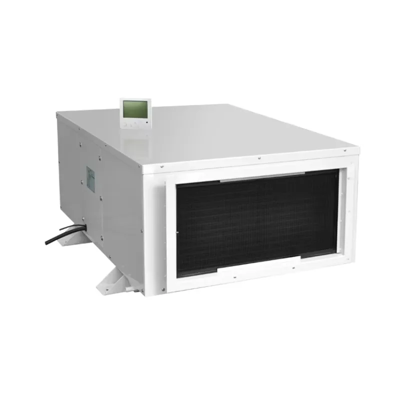 Ceiling Installation Dehumidifier Industrial Planting Room Indoor Swimming Pool Greenhouse Dehumidifier