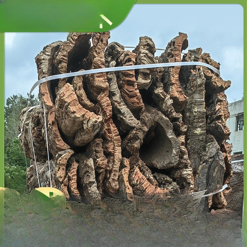 Cork bark, staghorn fern, orchid, Dendrobium officinale, planting board, green plant upper board, fixing board