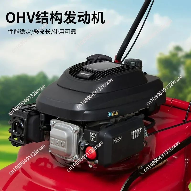 225CC Self-Propelled Walk Behind Lawn Mower, 3-in-1 Function, High Wheel RWD, 7 Speed Adjustment