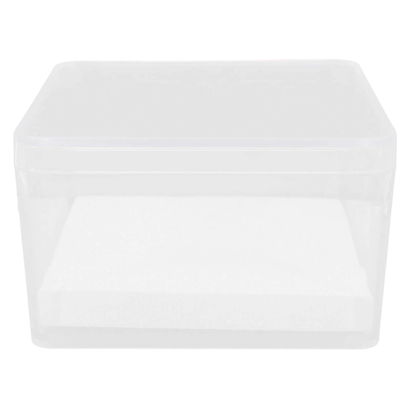 

1 Set Mini Transparent Insect Specimen Box For Entomology Clear Case Small Insect Display Container Specimen Display Holder Tool