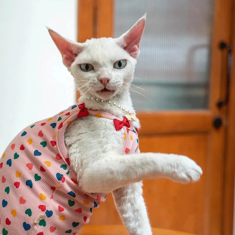 2026 New Delist German Cat Clothes, Hairless Cat Sphynx Camisole Belly Protector with Bow Vest Pet Supplies Cat Vest