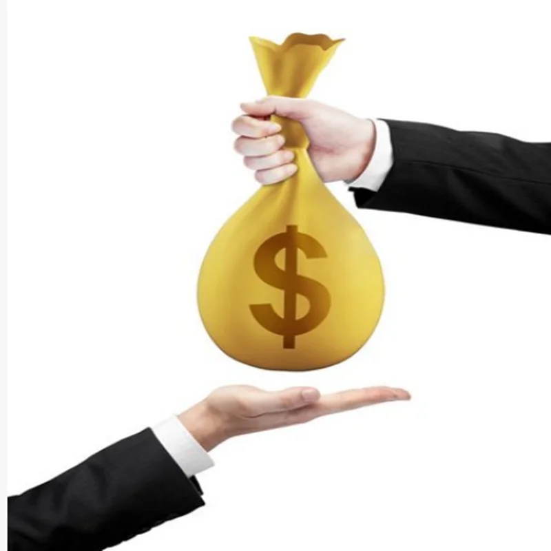 Customized Universal Payment Link Fast Transaction Checkout Link Fix Payment Problem