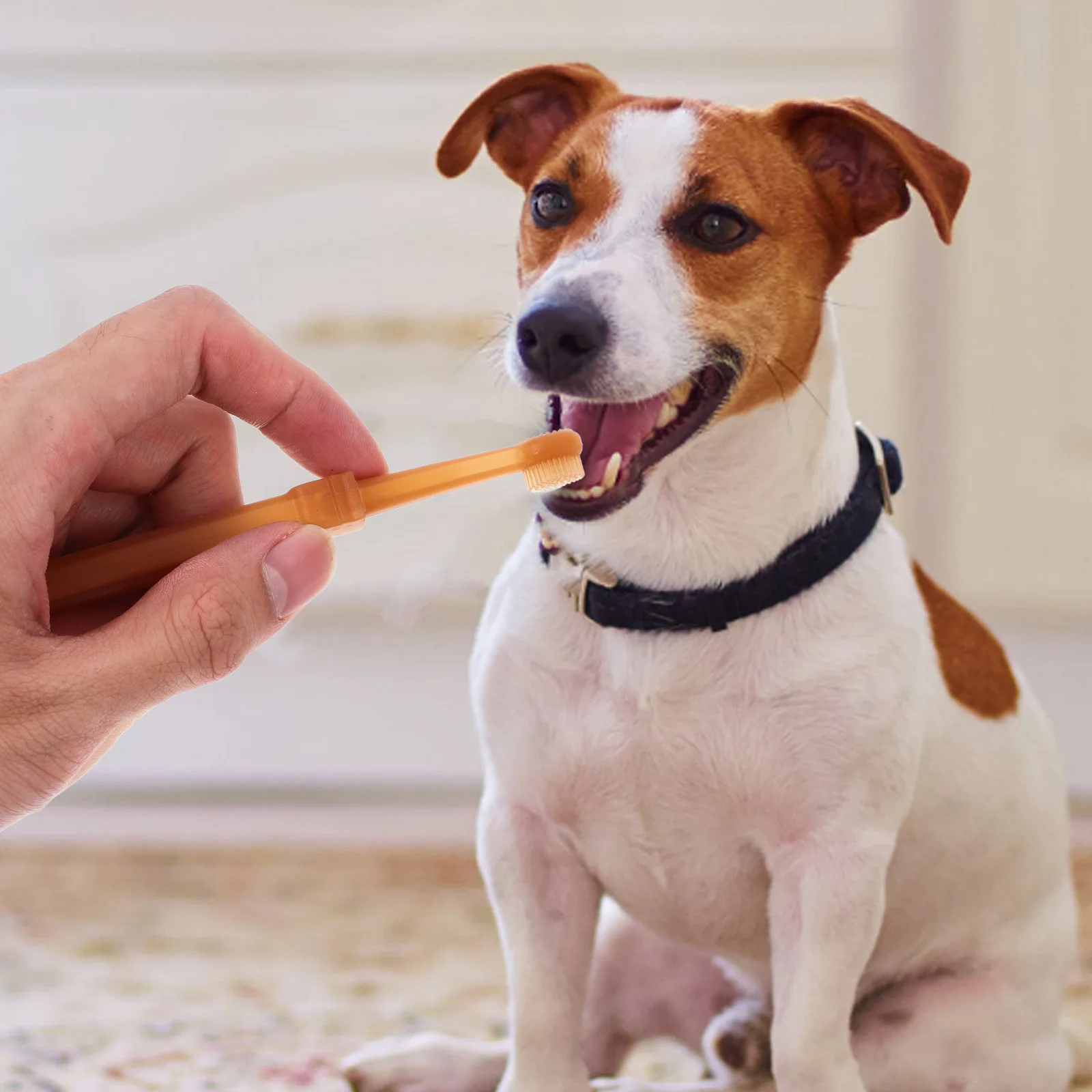 

1Set Portable Pet Toothbrush Set Silicone Soft Bristles Dual Head Design for Cats Dogs Daily Use Toothbrush for Dogs
