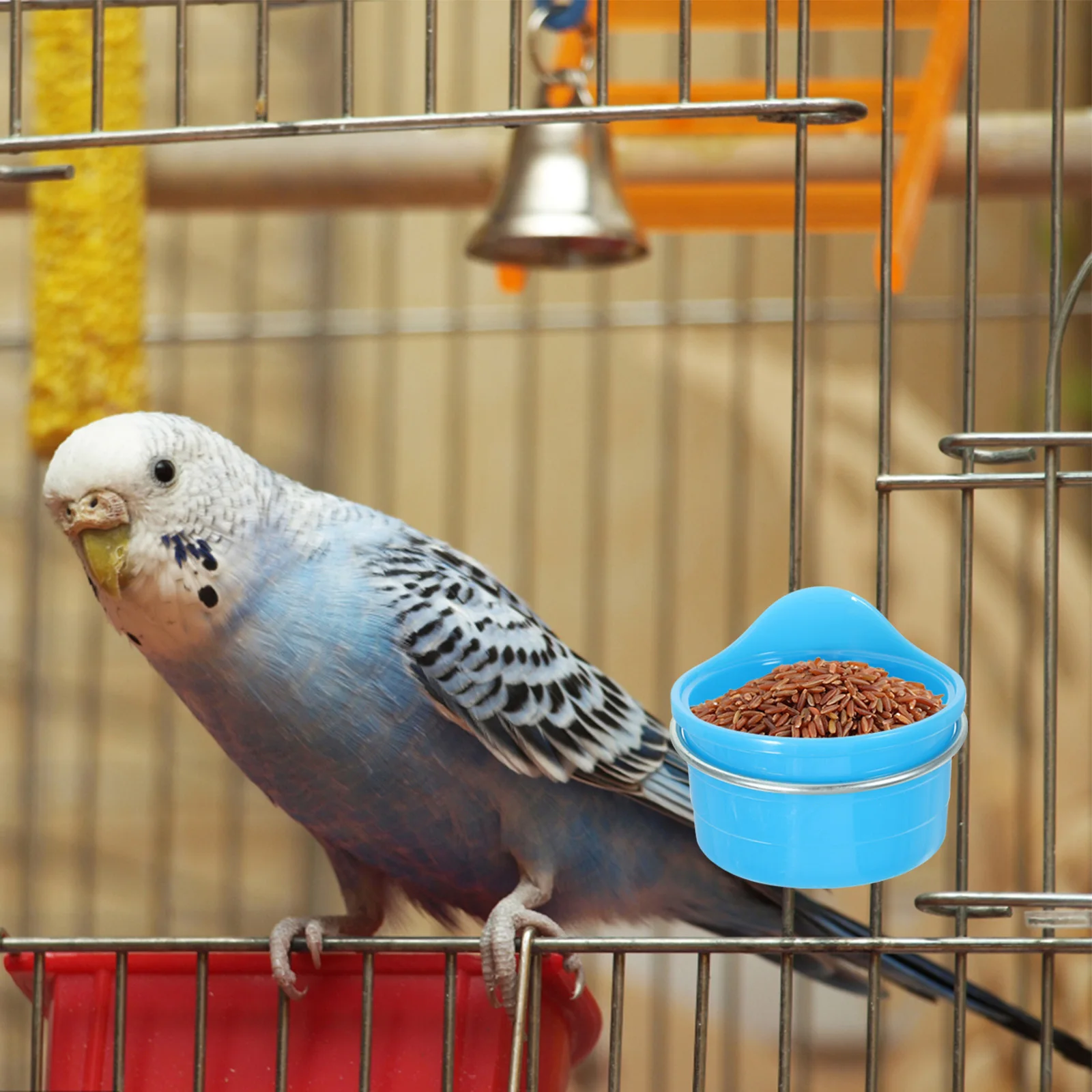 

2 Pcs Food Bowl Durable Parrot Cage Accessories Reusable Small Bowls for Cage Bird Water Feeder Pet Supplies