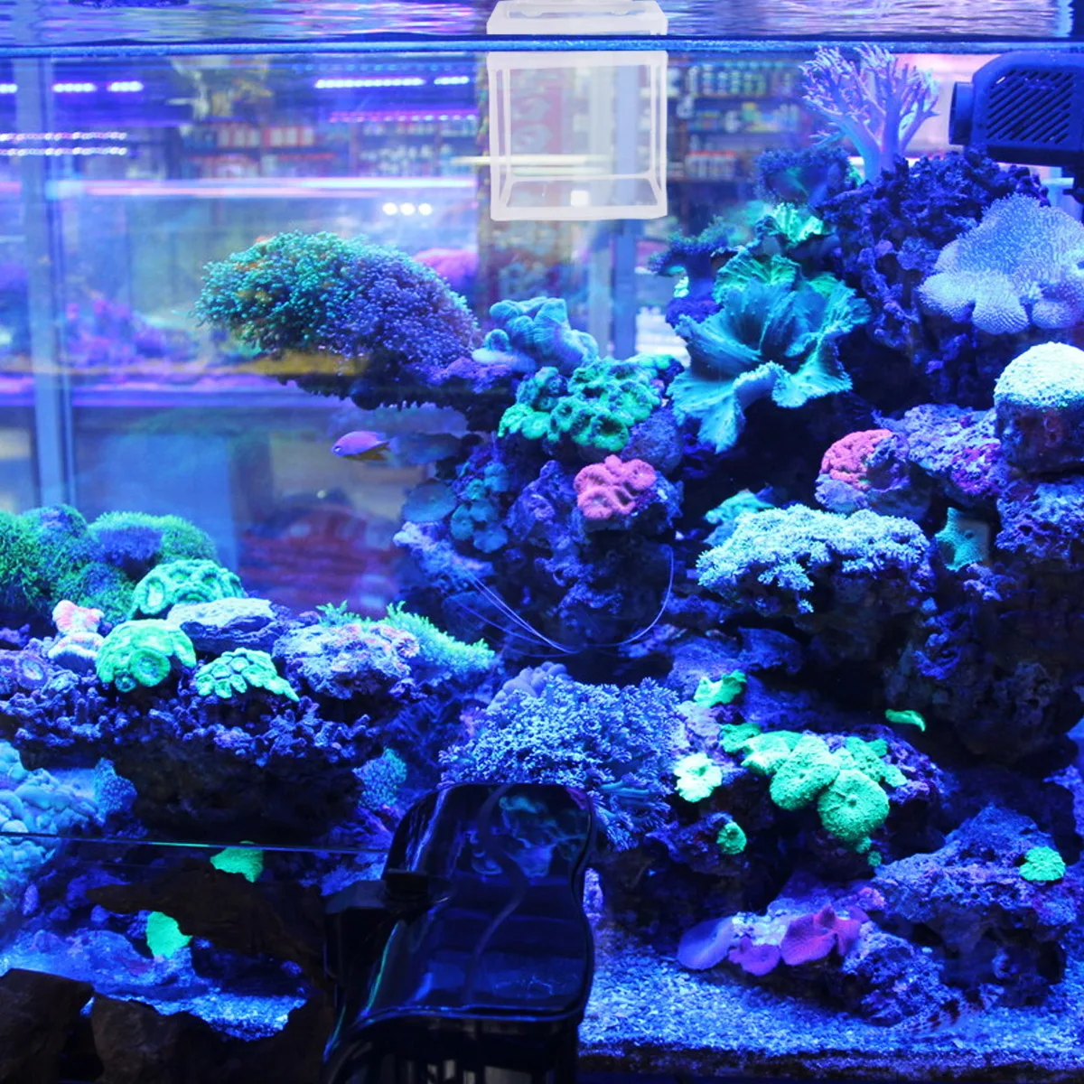 

2Pcs Fish Breeding Box Plastic Cloth Material Portable Isolation Net for Aquarium Hatchery Tank Home Use White Size S