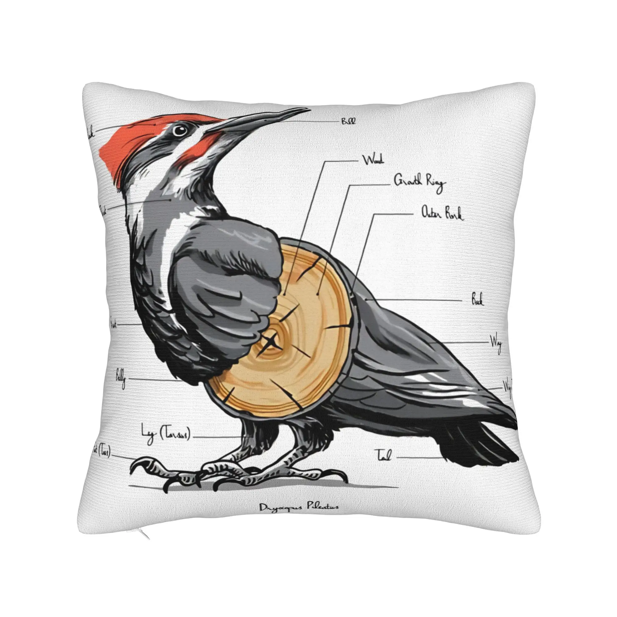Chris Brown And Usher The Rb Tour Pillow Case  Raymond And Brown Design Pillow For Sofa Bedroom Home Decor Novelty Pillowcases