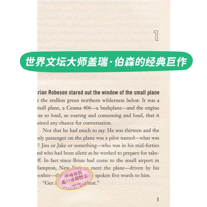 Hatchet Gary Paulsen Newbery Honor Novel The Bestselling Classic Survial Story Book Livros Libros English Books