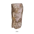 AOR1