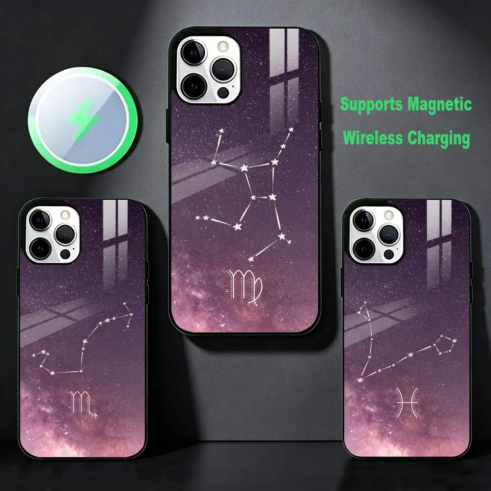 The Twelve constellations-S  Phone Case For iPhone 17,16,15,14,13,12,Plus,Pro,Max For Magsafe Magnetic Wireless Charge