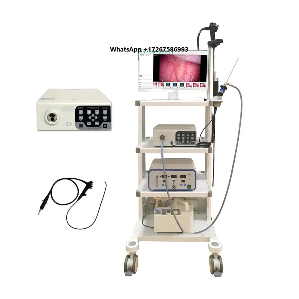 High-quality portable flexible endoscopic system for veterinary use