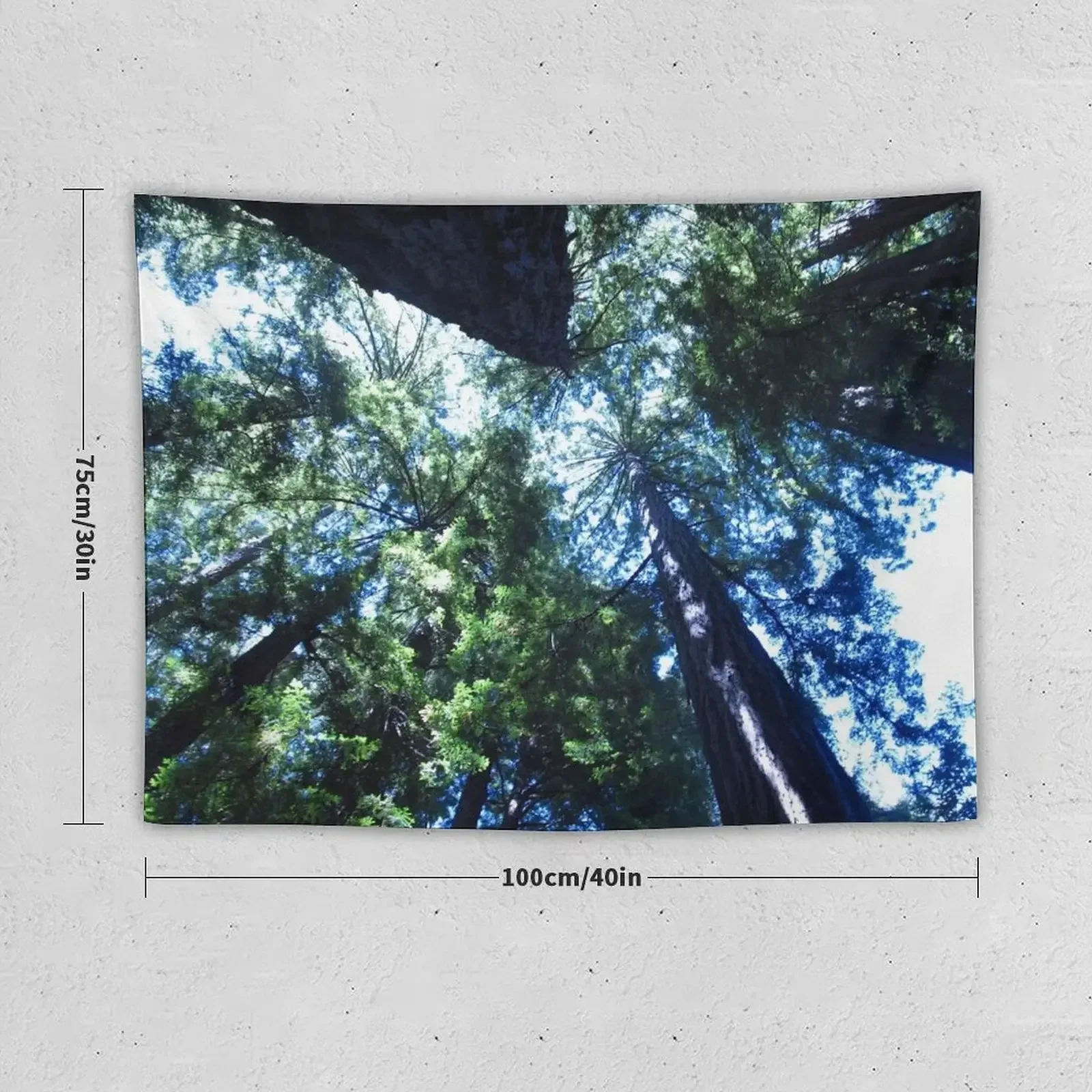 Redwoods from Below Tapestry Tapete For The Wall Aesthetic Room Decor Wall Hanging Wall Tapestry