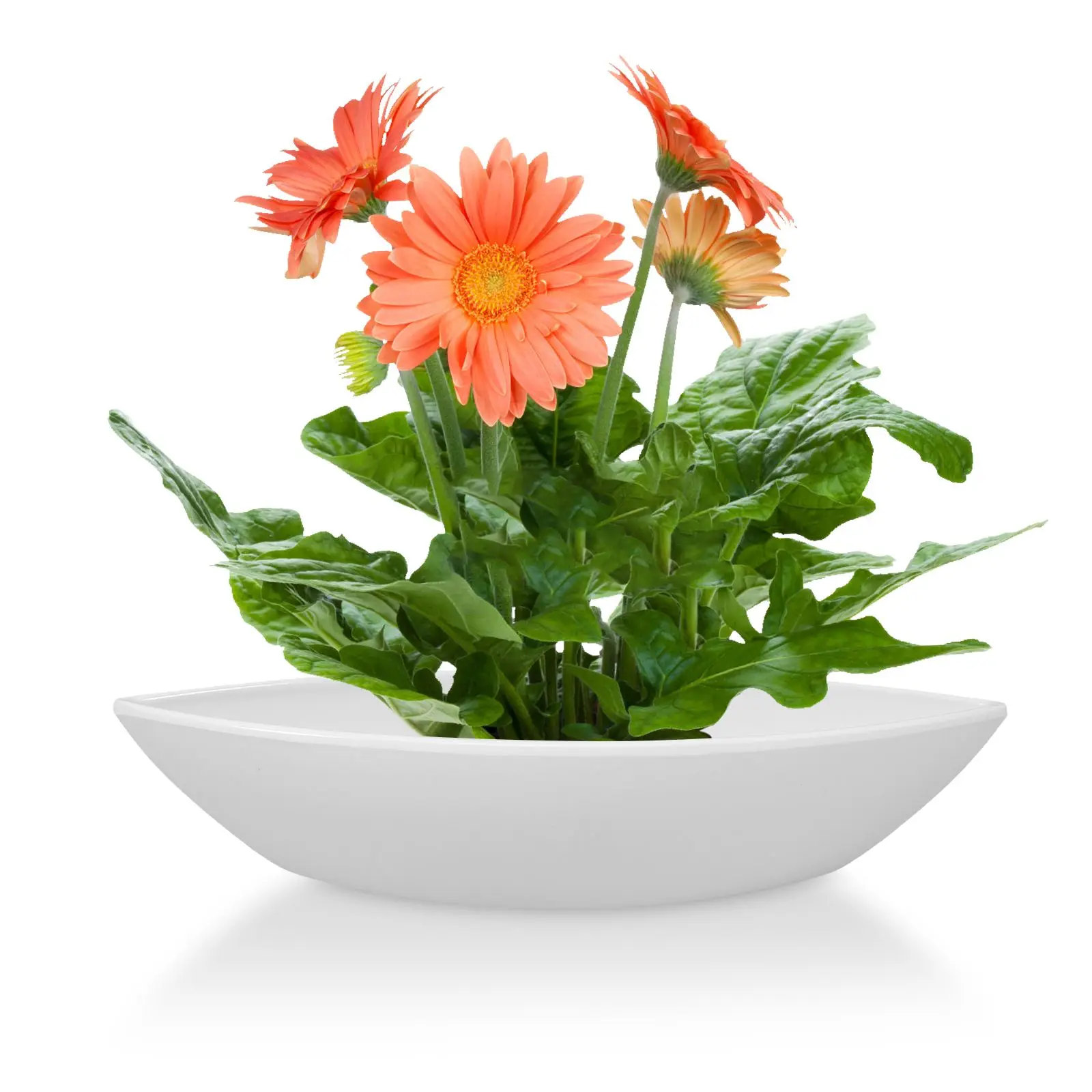 

25cmx5cm Boat Shaped Planter Pot Plants Pot Nursery Pot Vase White Plant Flower Pot for Decoration Flower Container