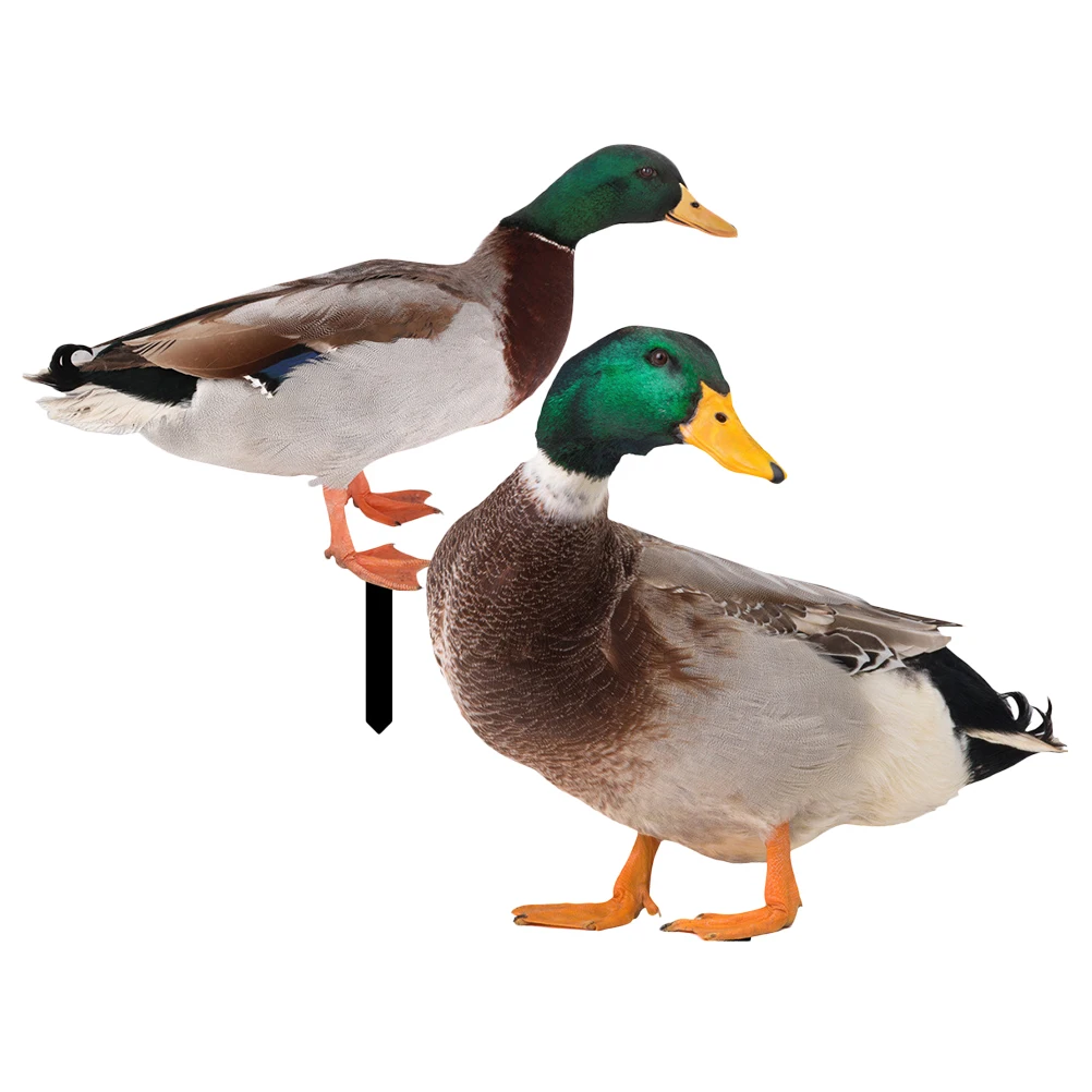 

2 Pcs Three-dimensional Duck Decoration Cute Garden Ornaments Yard Sculpture Outdoor Animal Acrylic Decorations