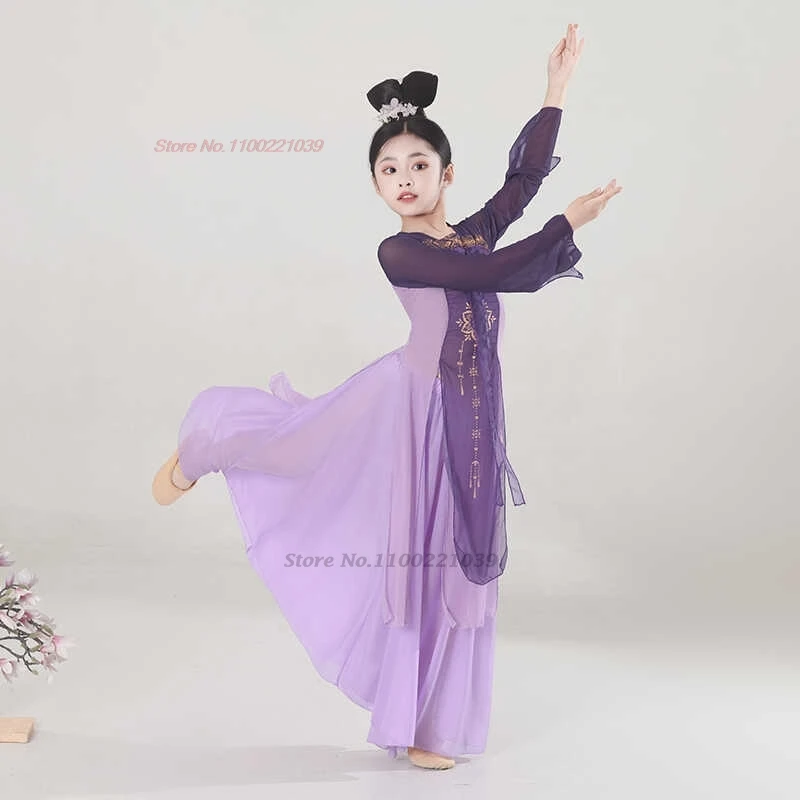 2025年中国風ヴィンテージ民族舞踊衣装花柄メッシュ漢服トップス+スカートセット伝統舞台公演ダンス妖精ドレス