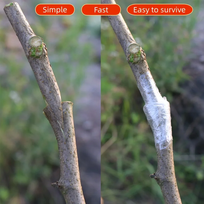 Grafting Machine J60 Imported Fruit Tree Seedling Grafting Multifunctional Grafting Artifact Special New Tools A Set