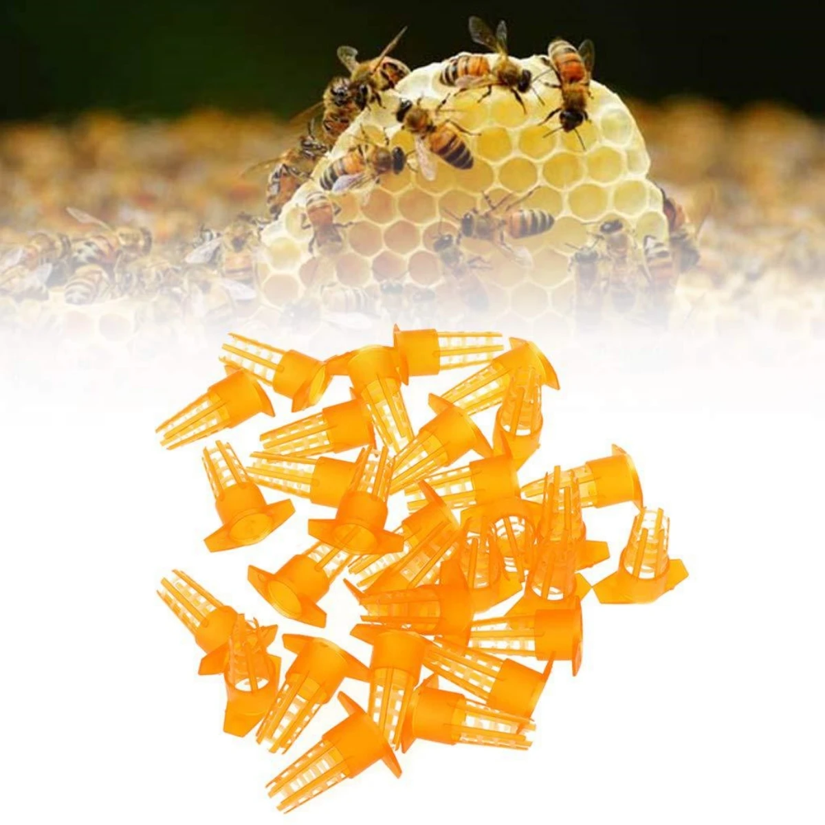 50Pcs Queen Bee Cage Plastic Cage Queen Bee Cage Anti-Bite Breeding Protective Cover Cell Cages Protector Good Beekeeping Tools