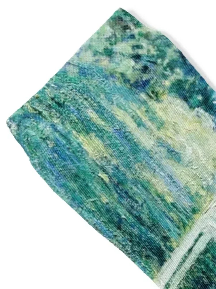 Monet Water Lilies and Japanese Bridge 1899 Socks New year's anti-slip Toe sports Running Socks Women's Men's