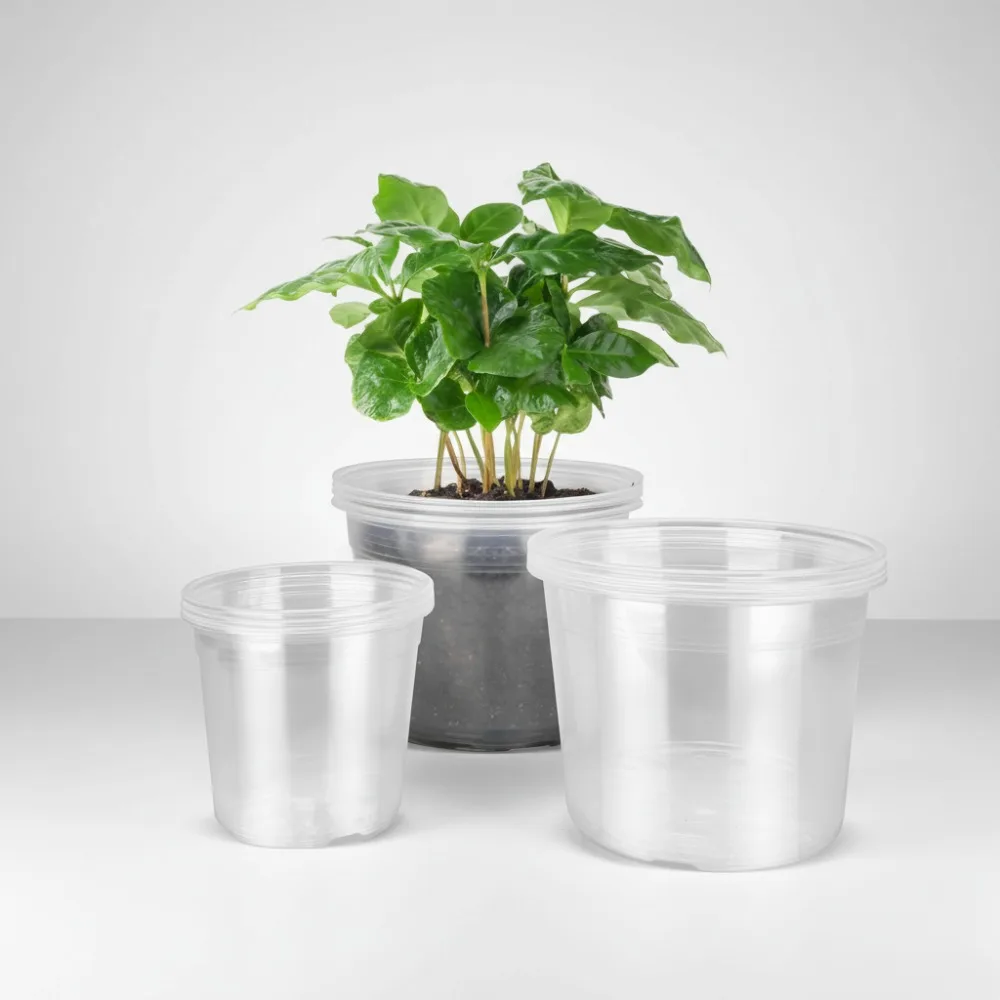 

6/8/10 Inch Clear Nursery Pots with Drainage, 12 Pack Plastic Plant Pots for Indoor Outdoor Gardening