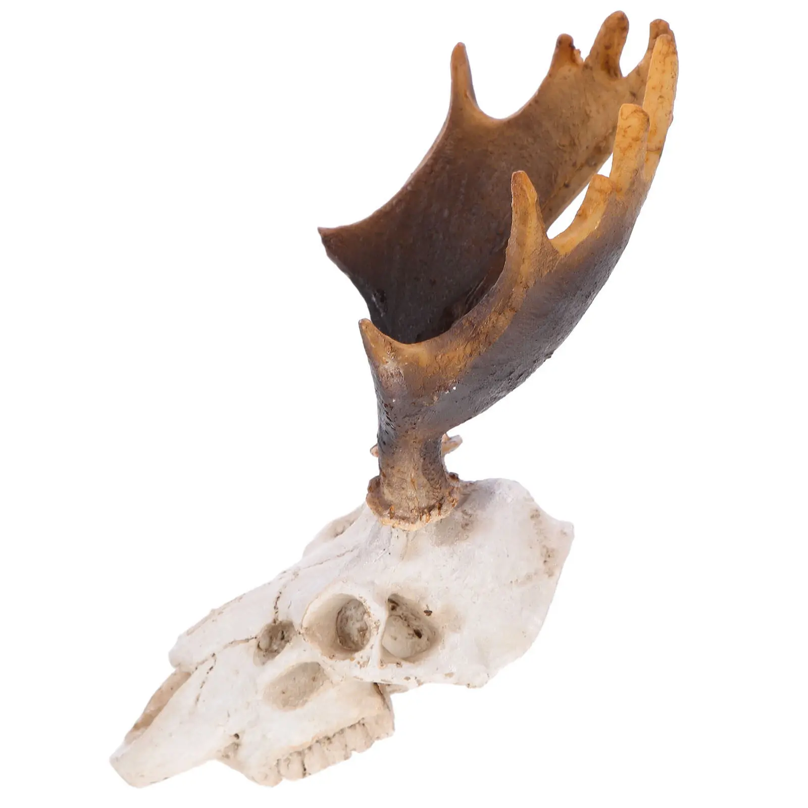 

Декоративное украшение из смолы в виде оленьего черепа для укрытия рептилий в террариумах, аквариумах, а также для лесенок и укрытий для ящериц, черепах, сцинков и скорпионов.