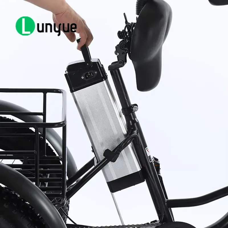 500W 750W Electric Tricycle for Adults 48V 3 Wheel E Bike Pedal Assist Ebike Trike Motorcycle for Commuting Shopping