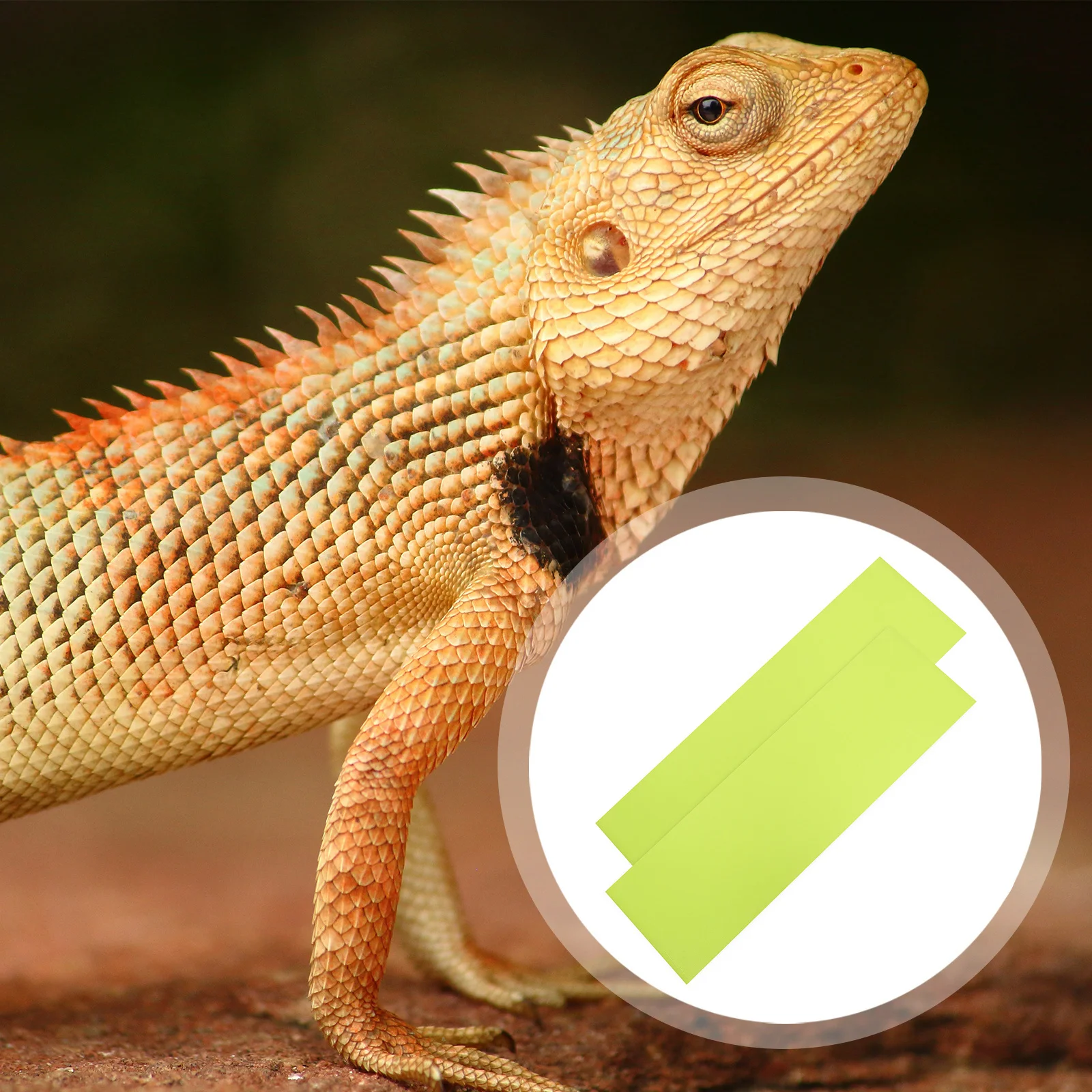 

2pcs Reptile Carpet Mat 15 Gallon Tank 20 Gallon Tank Floor Bedding Liner For Reptile Terrarium Substrate Eva Material Warm