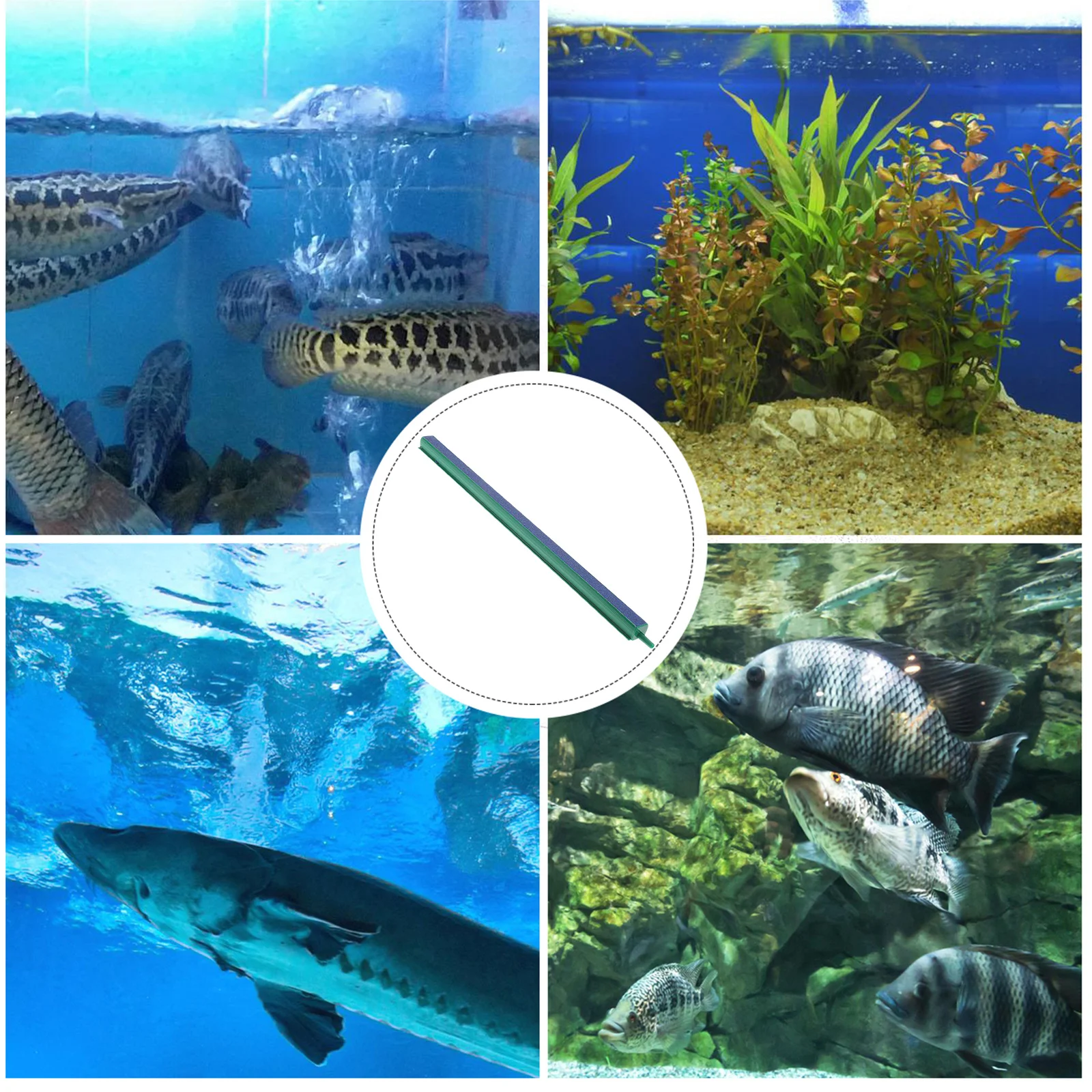 

1Pcs Fish Tank Supplies Bubble Strip Durable Practical Oxygen Diffuser Evenly Dispersed Bubbles Aquarium Decor Oxygen Strip