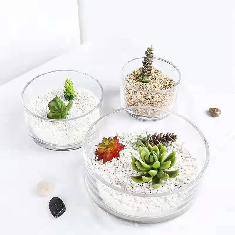 Creative Thickening Small Round Glass Flowerpot Hydroponic Glass Vase Glass Jar Transparent Vase Fleshy Potted Ornaments