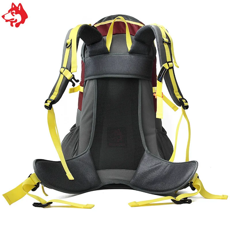 Imagem -02 - Selva Rei Cy1006 45l ao ar Livre Profissional Mochila de Viagem Bolsa Náilon Caminhadas Acampamento Mochila Resistência ao Rasgo e Repelir Água