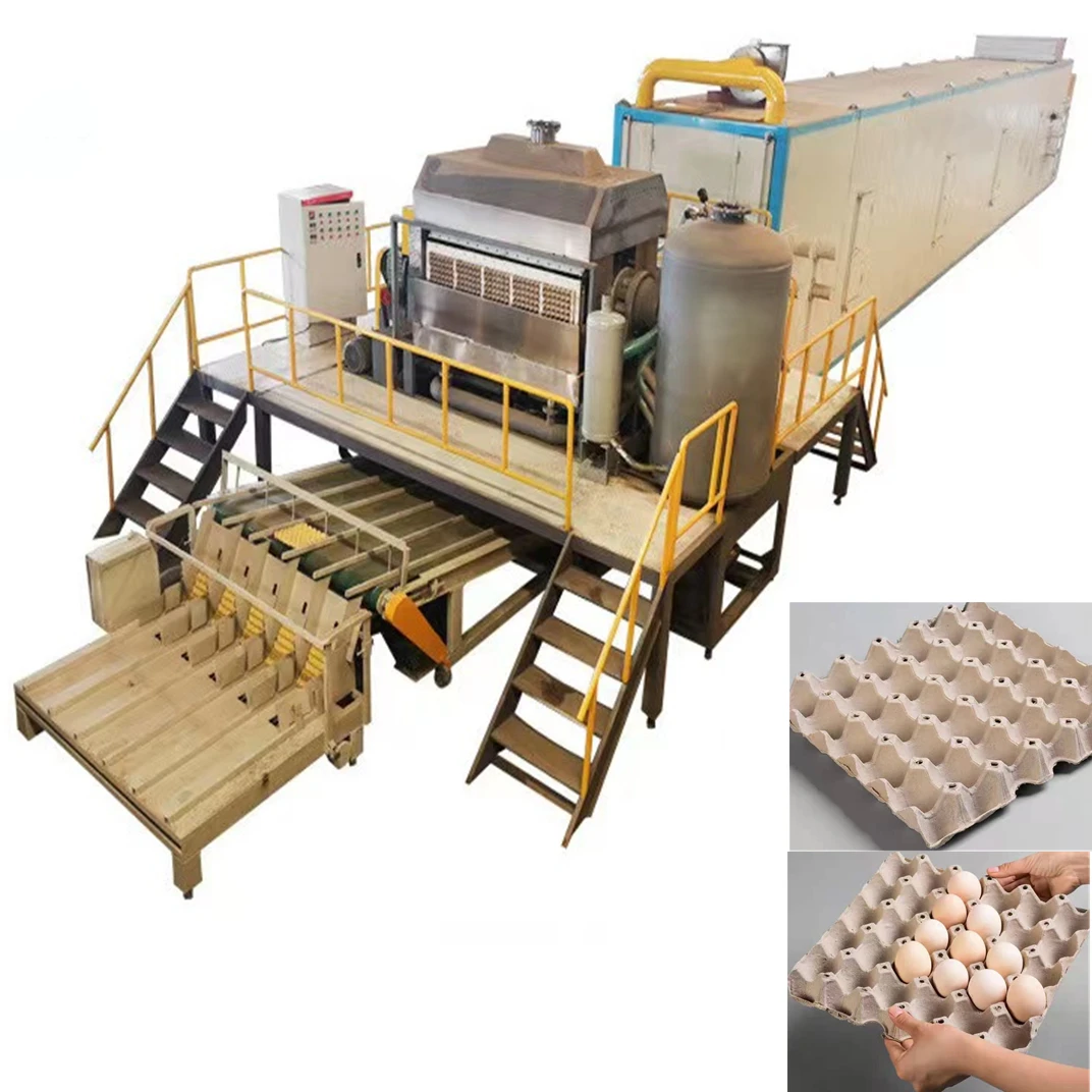 Automatic Egg Tray Production Line Paper Pulp Tray Machine Carton Maker For Mass Egg Packing In Farm And Factory Use