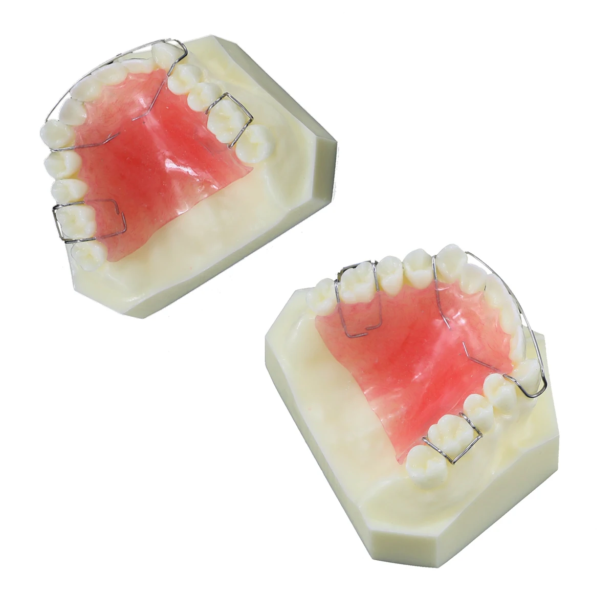 Retainer For Teeth Straightening Gap Removable Dentistry Students Teach Study Teeth Model