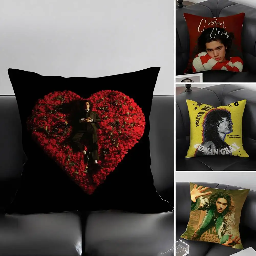 Conan Gray Holidays Pillow Case Home Dorm Chair Back Short Plush Double-sided Printing Office Nap Time Cushion Cover