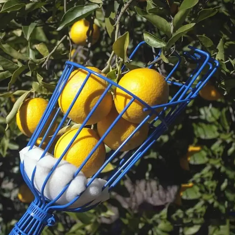 Sturdy Fruit Picker Tool Convenient Head Basket, Apple Peach Picking Device for Farm Garden, High Quality Outdoor Harvest