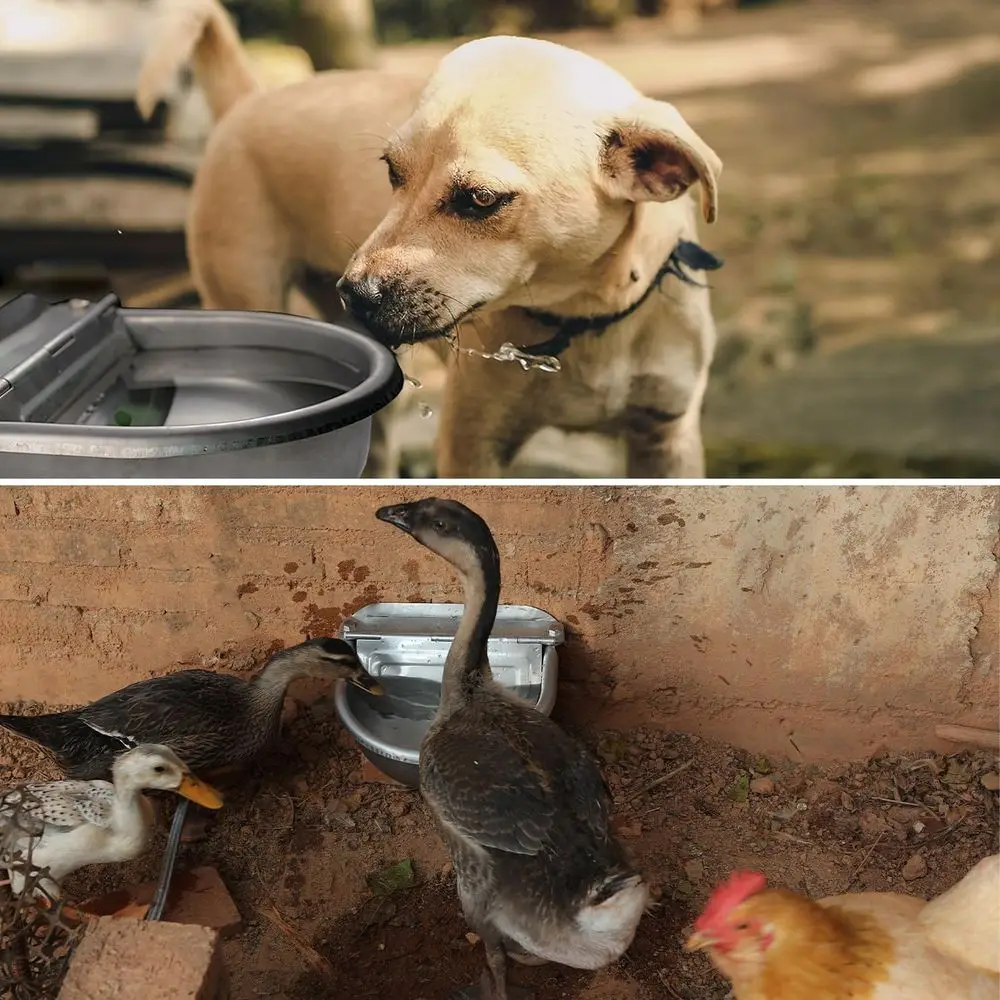 

Автоматический диспенсер для воды для собак, кормушка для поилки для домашних животных большого размера, жето для воды из нержавеющей стали для птицы и мелкого скота