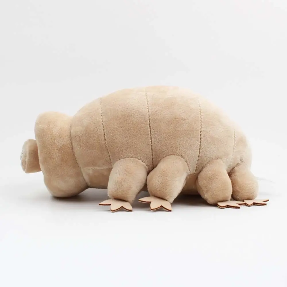 Peluche Tardigrade en coton de 25 cm, mignonne, douce, pour la décoration de la maison, cadeau