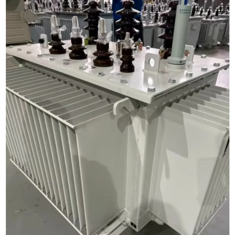Competitive Price S21 Oil Filled Distribution Transformer 10kV 11kV to 400V 100kVA to 1600kVA Power Equipment