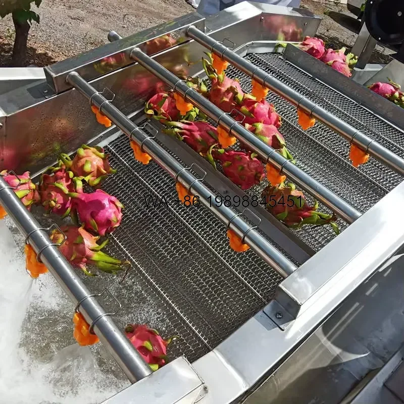 Wmwmnu for Tomato Washing Orange Fruit Washing Vegetable Washer Fruit Washing