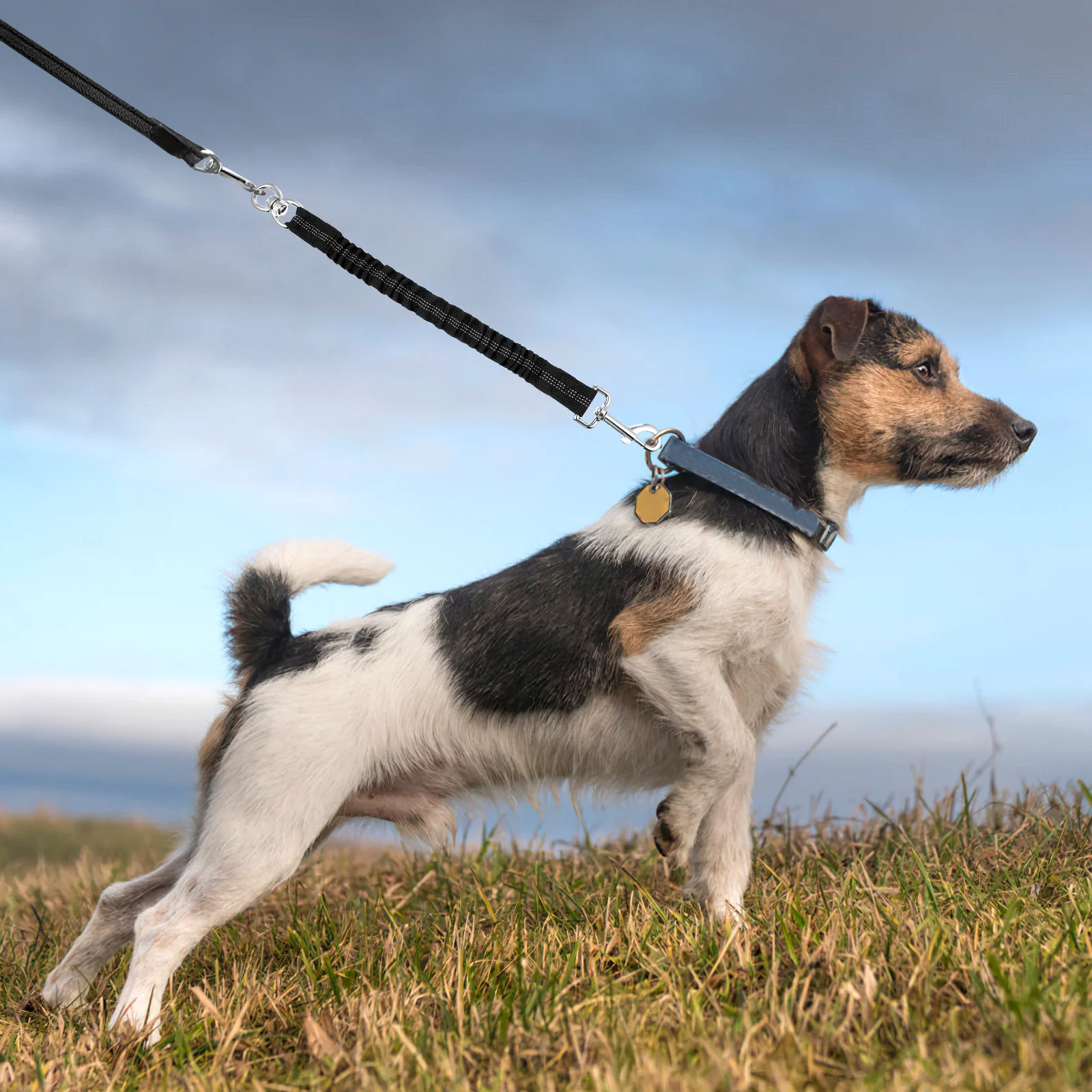 Reflective Bungee Extension Lead For Small Medium Pets Black Dog Extending Elastic Dog Walking Leash