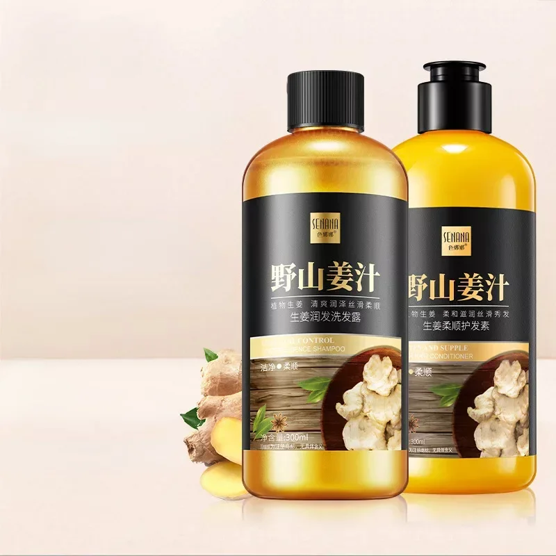 Ginger Hair Shampoo E Condicionador Softening Oil Control 샴푸 Moisturizing Nourishing Repair Hair Shampoo