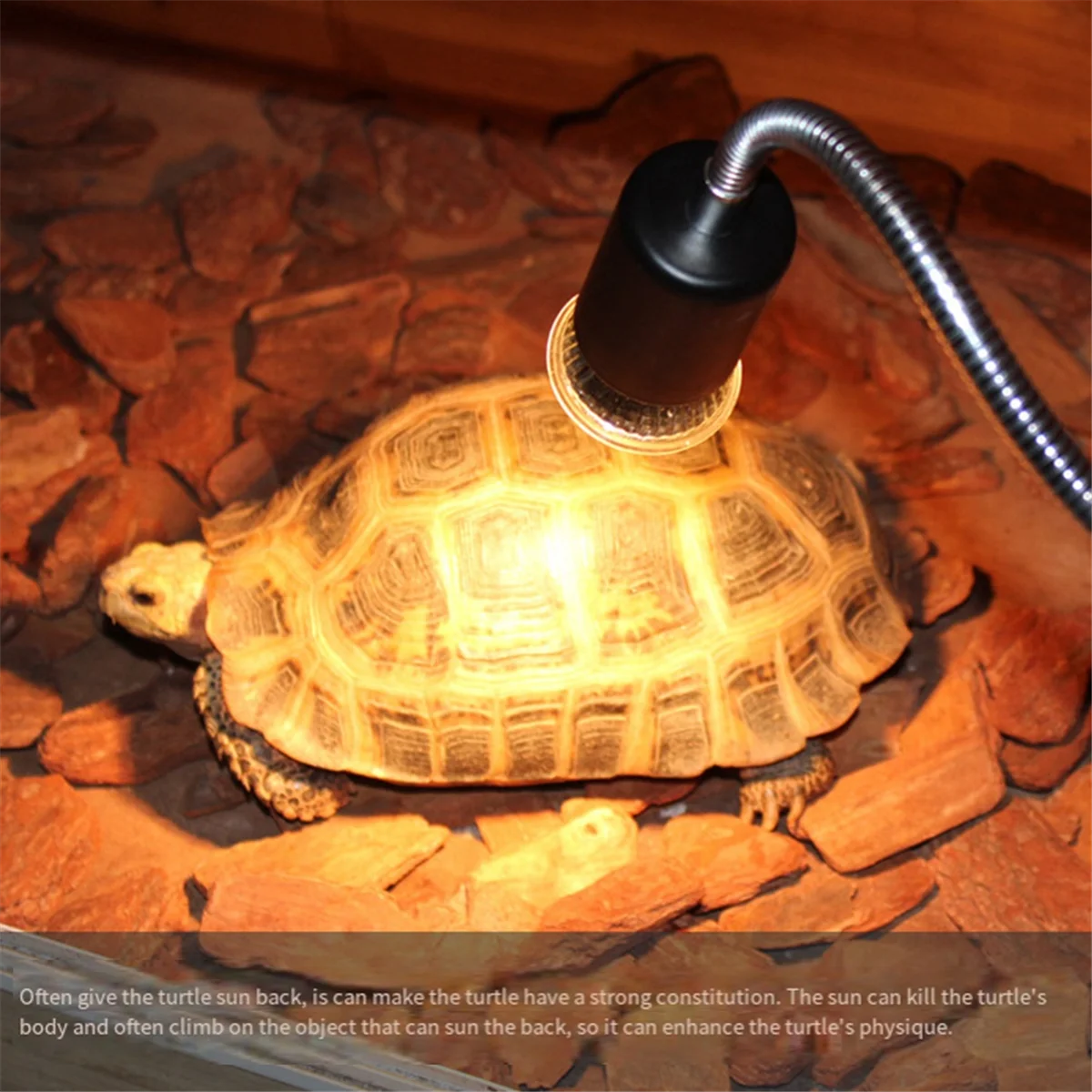 AT13 10PCS Reptile Lamp Bulb Turtle Basking UV Light Bulbs Heating Light Full Spectrum Sunlamp for Amphibians,75W