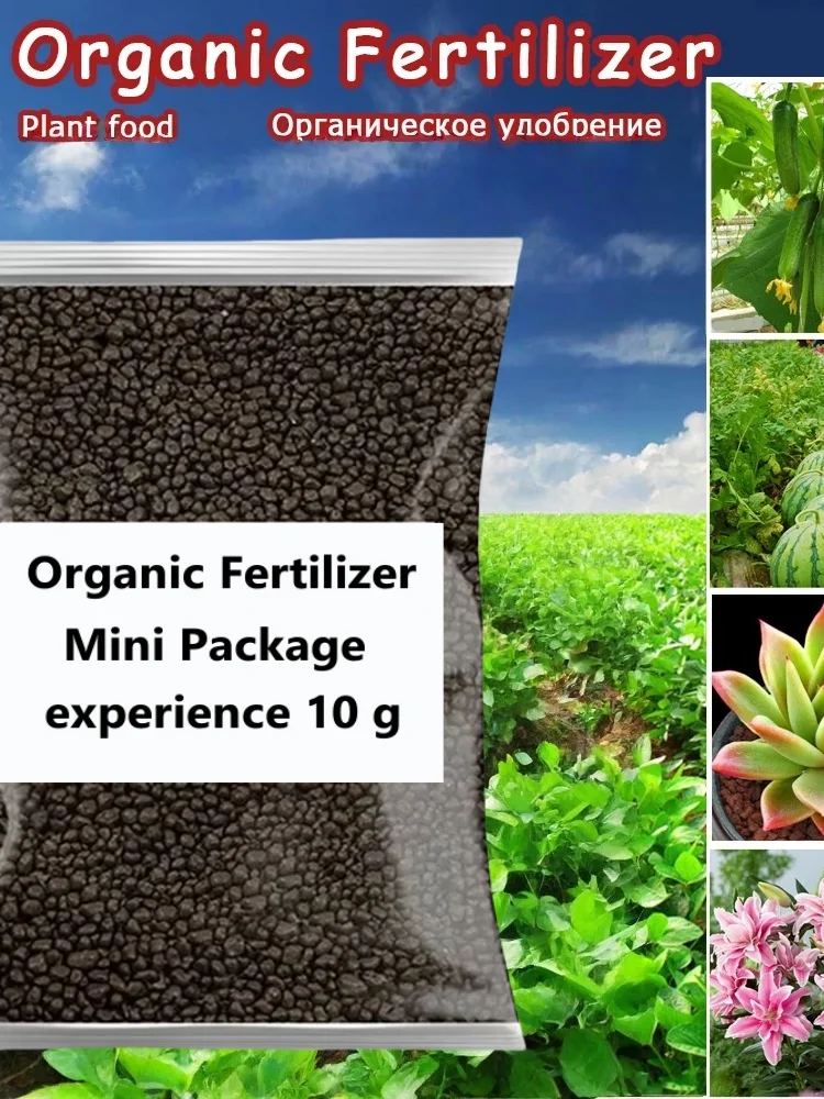 Mini paquet d'engrais organique 10 G, vert, usage général, sûr et sans Pollution, nourriture pour plantes à fleurs, bonsaï de jardin