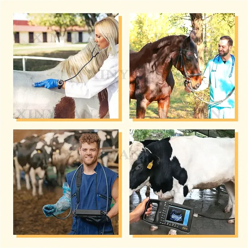 Ultrasound Machine, Handheld Portable Veterinary Tester With Probe for Pregnancy Detection of Horses Cattle and Large Animals