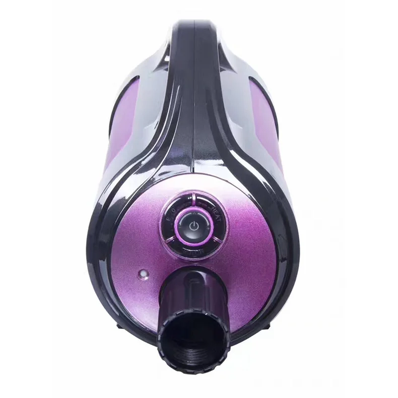 Pet brushless motor DC hair dryer