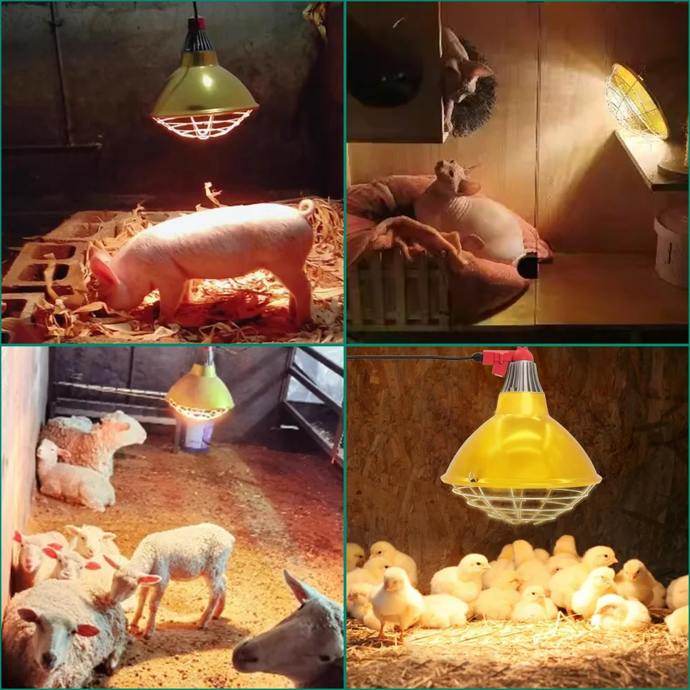 Scaldasalviette per maiali e bestiame, paralume per lampada riscaldante, temperatura regolabile, per coltivazione di pollame, oca, maiale, lampada per la conservazione del calore