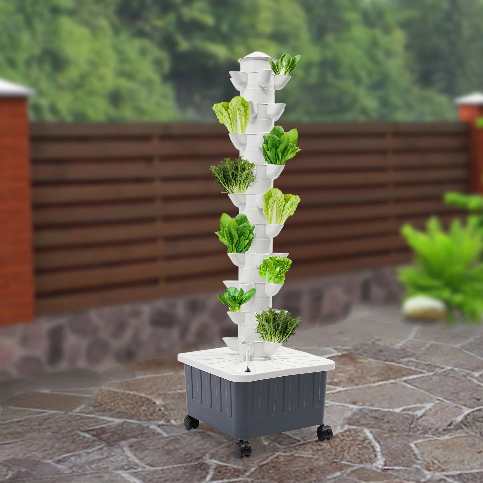 50 Holes Hydroponic Growing System Kit, Water Planting Planter Box for Indoor Garden, Leafy Vegetables Cultivation