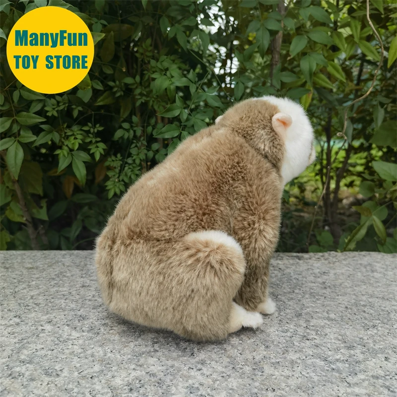 Slow Loris Plüschtier, lebensechtes Loris Stofftier, realistischer Nycticebus, Plüschtier, Affe, Simulationspuppe, Geschenk, Sammler