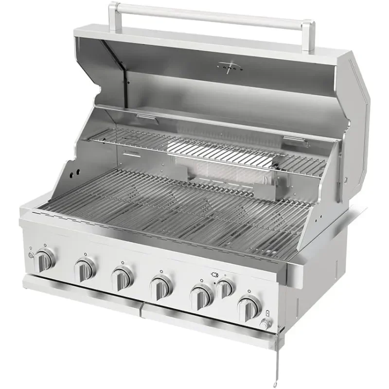 Premium Grill Built-in Head, 6-Burner with Rear Burner Propane Grill, Convertible to Natural Gas